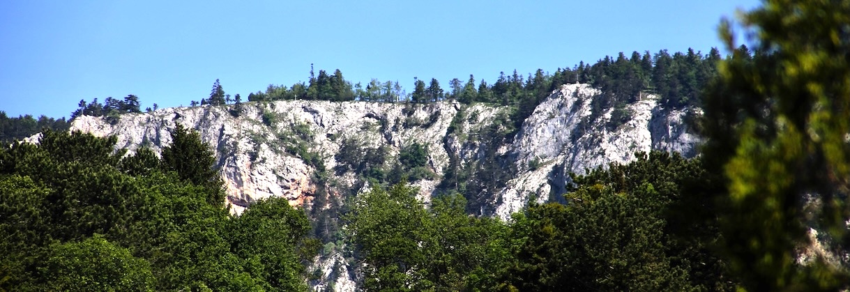 headerimage